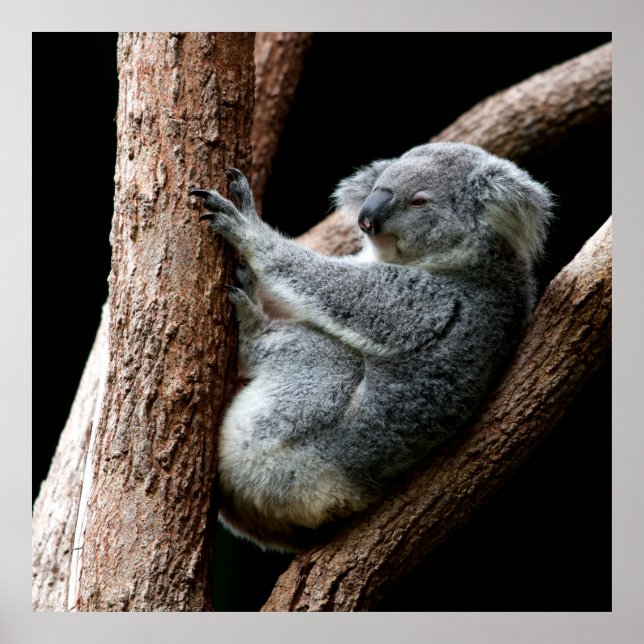 PÓSTER TAKE YOUR TIME (Frente)