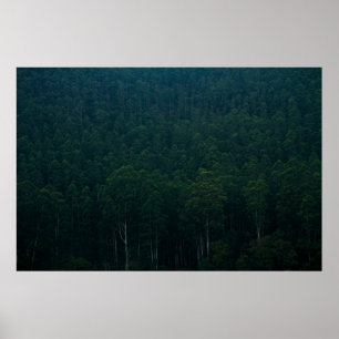 PÓSTER TALL GREEN TREEN