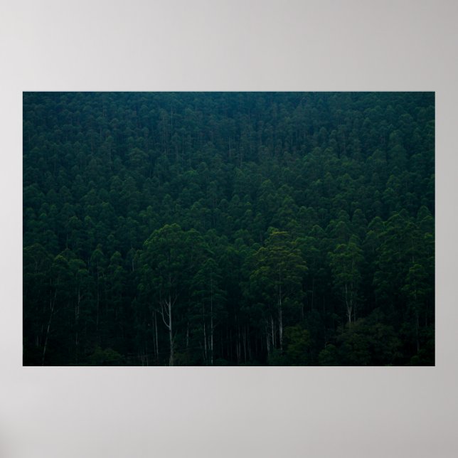PÓSTER TALL GREEN TREEN (Frente)