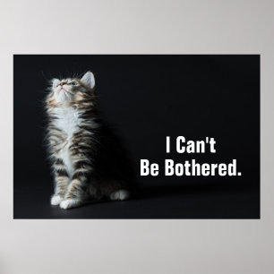 Póster Tall Tabby