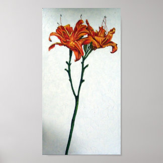 Póster Tall Tiger Lilies