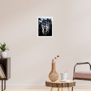 Póster Tall Trees en el Poster de las Montañas Colorado