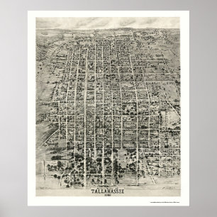 Póster Tallahassee, FL Panoramic Map - 1926