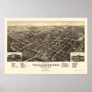 Póster Tallahassee, mapa panorámico FL - 1885