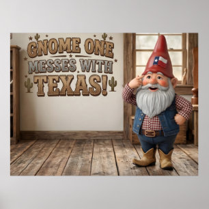 Póster "Taller 'Gnome One fastidia a Texas'"