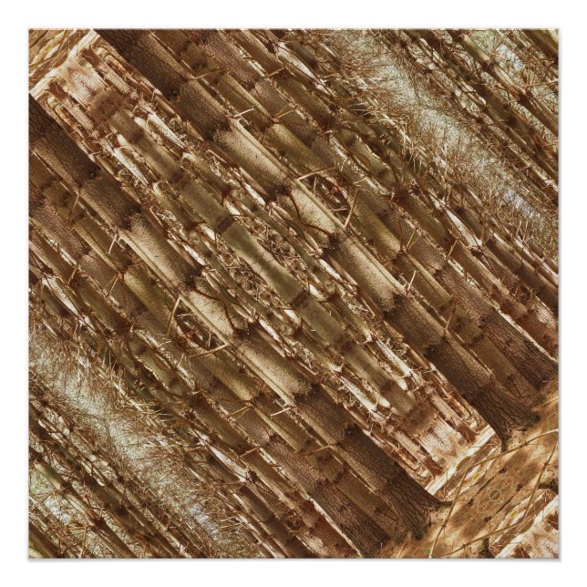 Póster Talleres (Anverso)