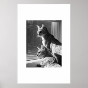 Póster Tallo del gato de Bengala