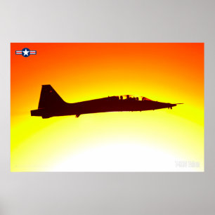 PÓSTER TALÓN T-38C