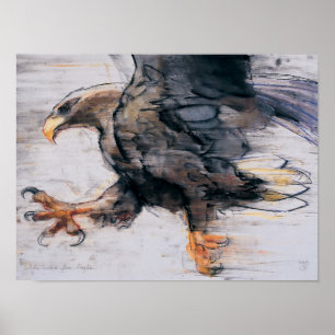 Póster Talons - White tailed Sea Eagle 2001