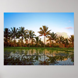 Póster Tamaño completo poster (24" x 18") Palmeras Bali