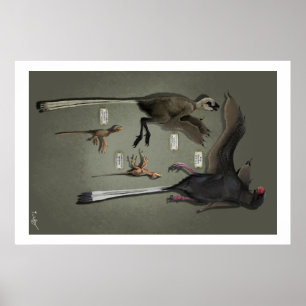 Póster Tamaño de vida Sansoriopterygids