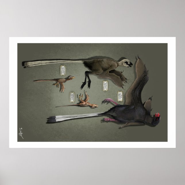 Póster Tamaño de vida Sansoriopterygids (Frente)