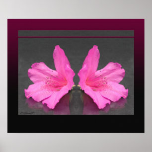Póster También Azalea Mirrored Print -24x20 -otros tamaño