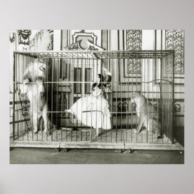 Póster Tamer de león: 1897 (Frente)