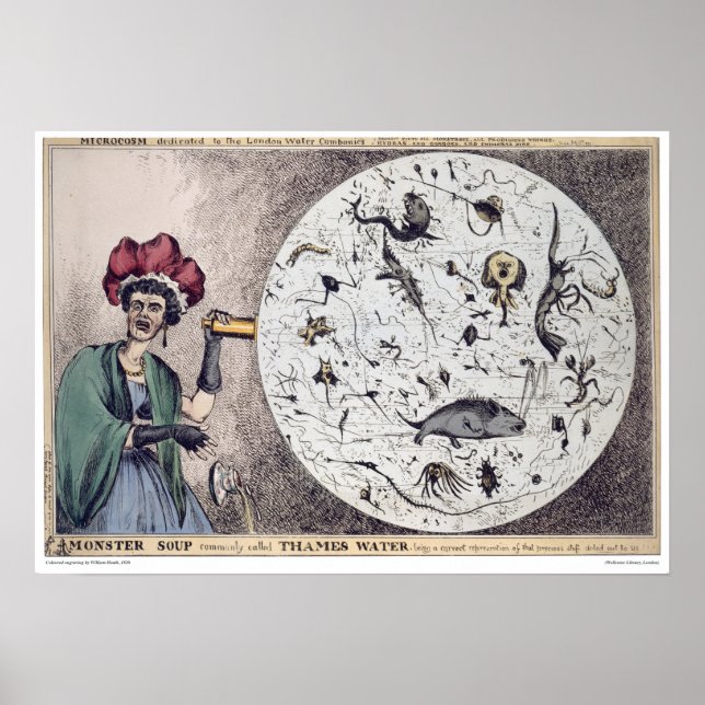 Póster Tames Water Monster Soup (Frente)