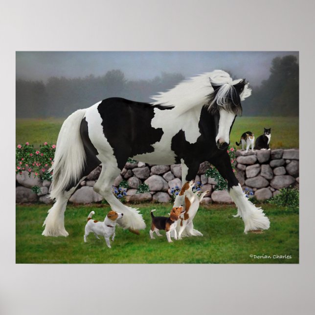 Póster "Tamlin & The Pups" (Frente)