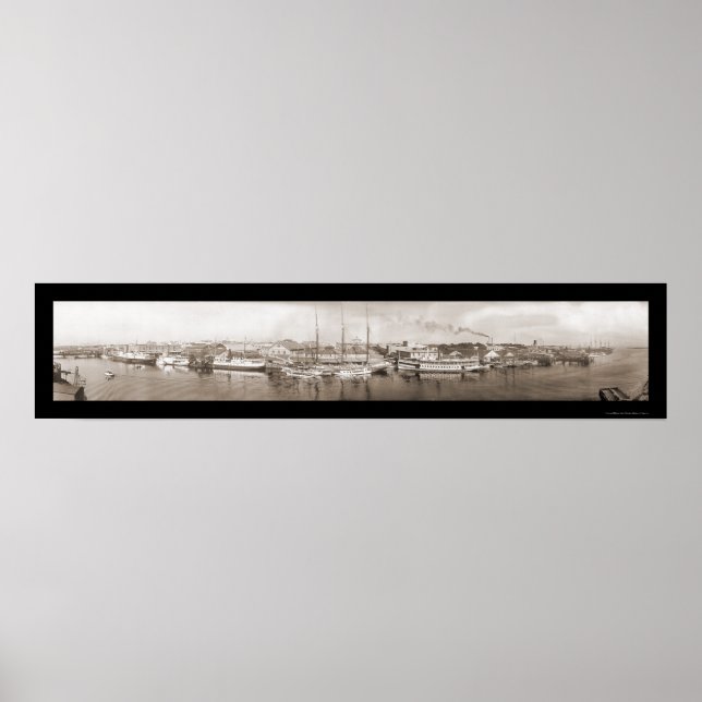 Póster Tampa, FL Photo 1909 (Frente)