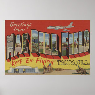 Póster Tampa, la Florida - saludos del campo del eneldo