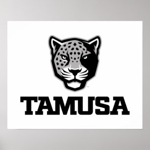 Póster TAMUSA Jaguars