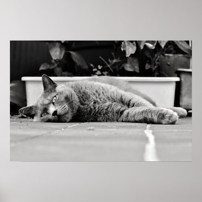 Póster Tan aburrido... (Frente)