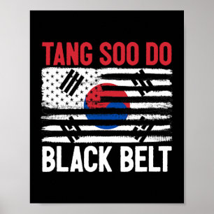 Póster Tang Soo Do Black Belt Karate Fighter