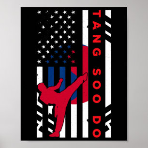 Póster Tang Soo Do Martial Arts Karate Bandera Americana 