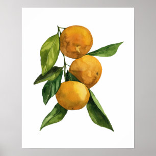 Póster Tangerinas orgánicas de acuarela