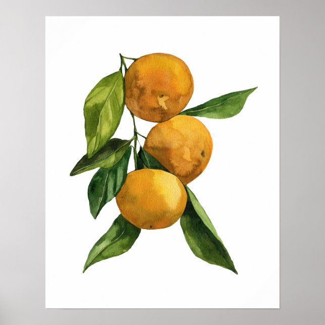 Póster Tangerinas orgánicas de acuarela (Frente)