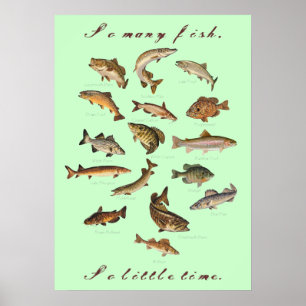 Póster Tantos Peces, Tan Poco Poster De Tiempo