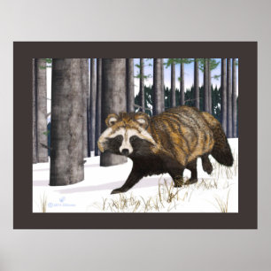 Póster Tanuki - Perro Raccoon