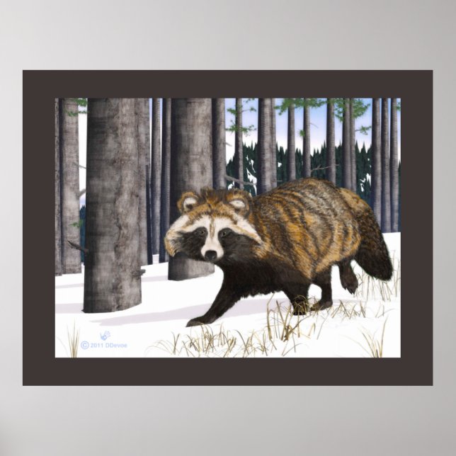 Póster Tanuki - Perro Raccoon (Frente)