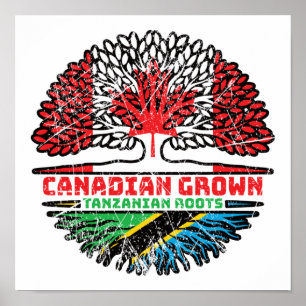 Póster Tanzania Tanzania Bandera de raíces de árbol canad