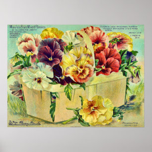 Póster Tapa del paquete de Semillas Vintage de Flores Pan