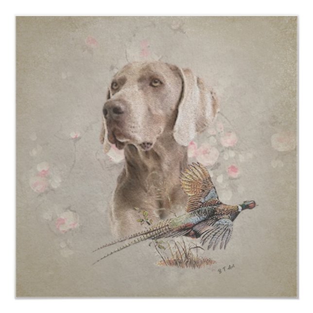Póster Tapestry de Weimaraner (Anverso)
