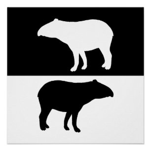 Póster Tapir
