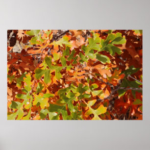 Póster Tapiz de Roble de Otoño