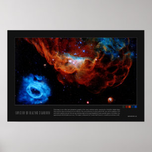 Póster Tapiz del nacimiento de un recién nacido (NGC 2014