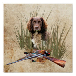 Póster Tapiz español Sprocker