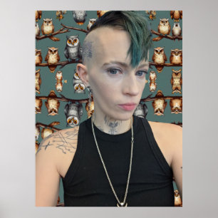 Póster Tara Owls