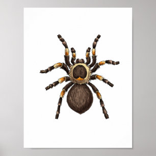 Póster Tarantula