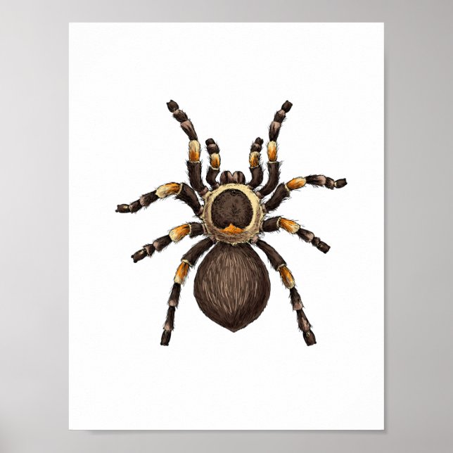 Póster Tarantula (Frente)