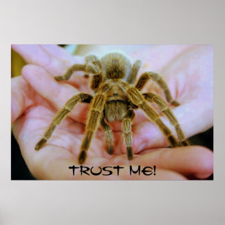 Póster Tarantula, ¡Créeme!