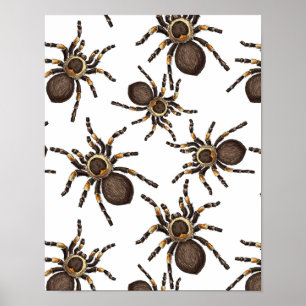 Póster Tarantula en blanco
