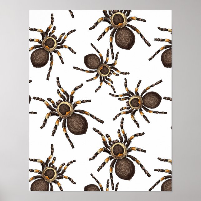 Póster Tarantula en blanco (Frente)