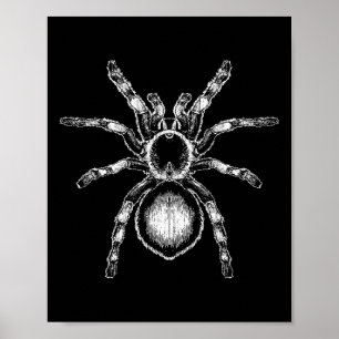 Póster Tarantula Enorme Araña Fobia Halloween Costume Ara
