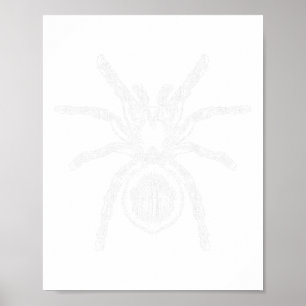 Póster Tarantula Enorme Araña Fobia Halloween Costume Ara