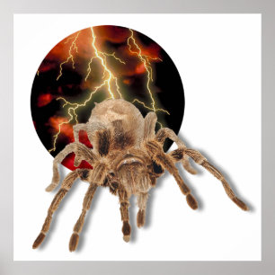 Póster Tarantula Lightning