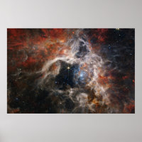 Tarantula Nebula James Webb NASA