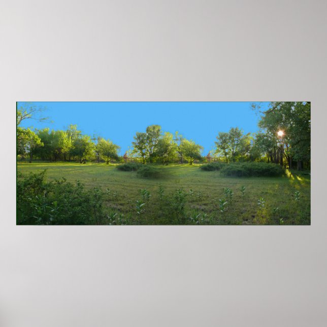 Póster Tarde (Frente)