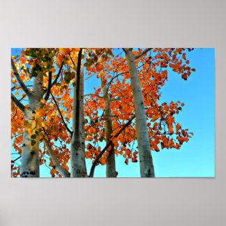 Póster Tarde de Otoño